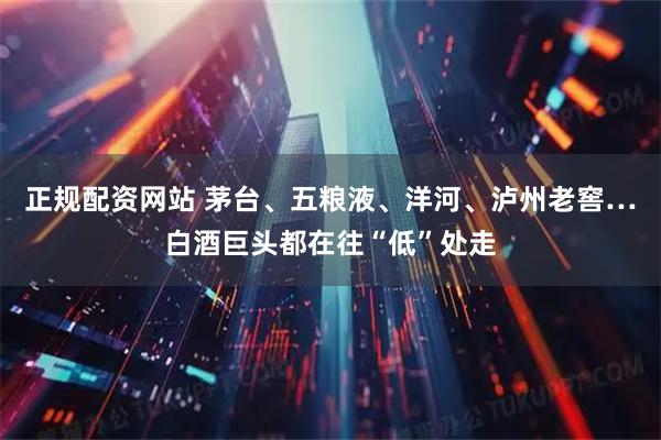 正规配资网站 茅台、五粮液、洋河、泸州老窖…白酒巨头都在往“低”处走