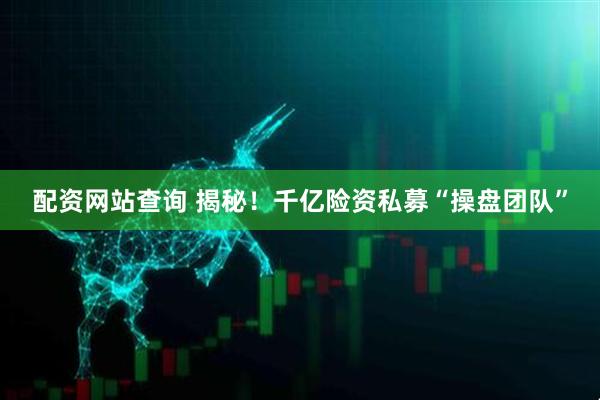 配资网站查询 揭秘！千亿险资私募“操盘团队”