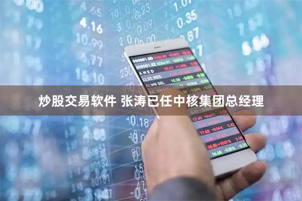 炒股交易软件 张涛已任中核集团总经理